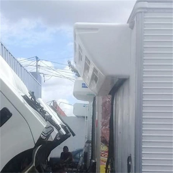 <h3>van freezer unit fresh and frozen food transport</h3>
